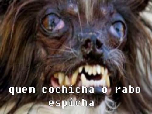 10486052 648696771878780 1788450808571720316 n