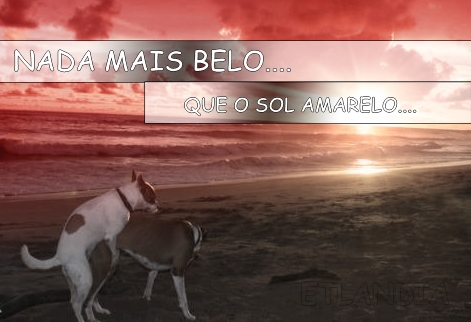 188527 451681838211650 1050992733 n copy