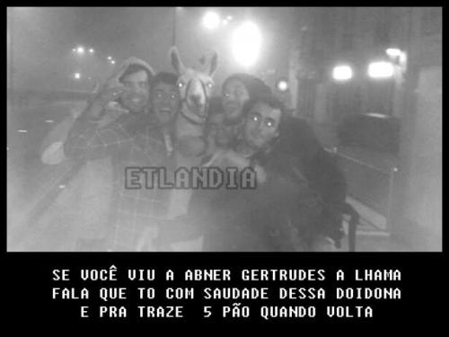 photo 474150262726949