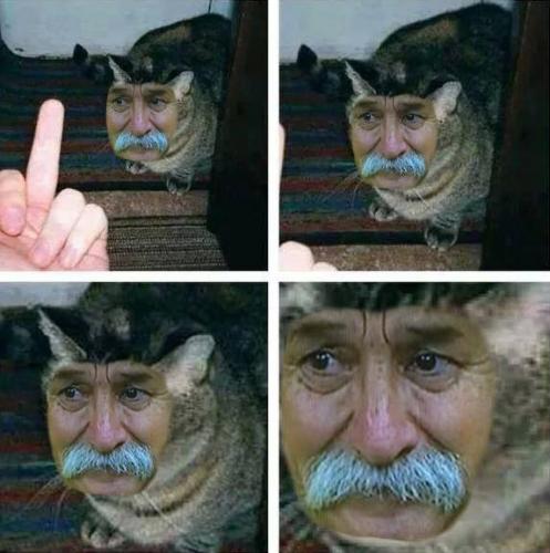 photo 477397499068892