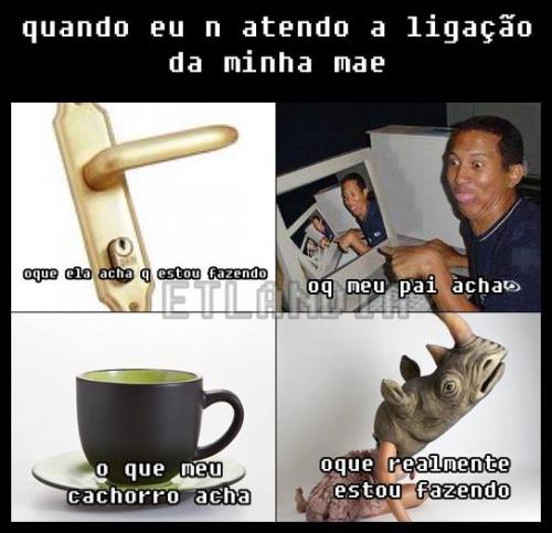 photo 478464272295548