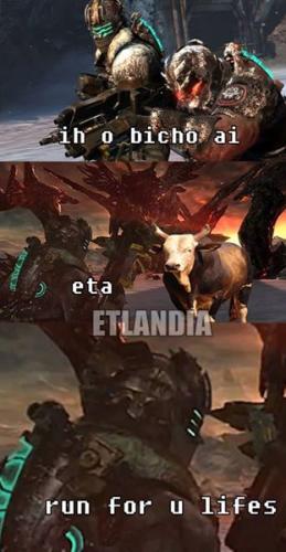 photo 479299135545395