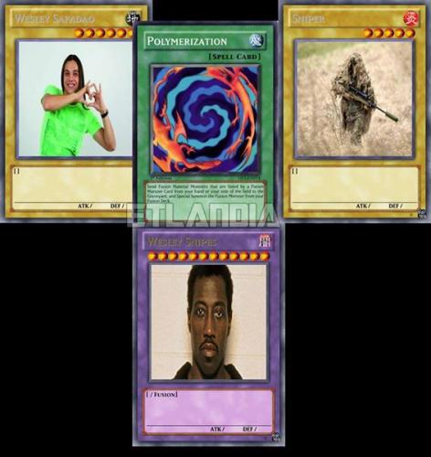 photo 479576758850966