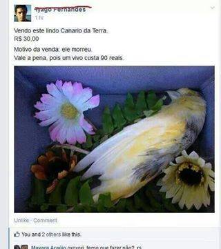 photo 480256508782991