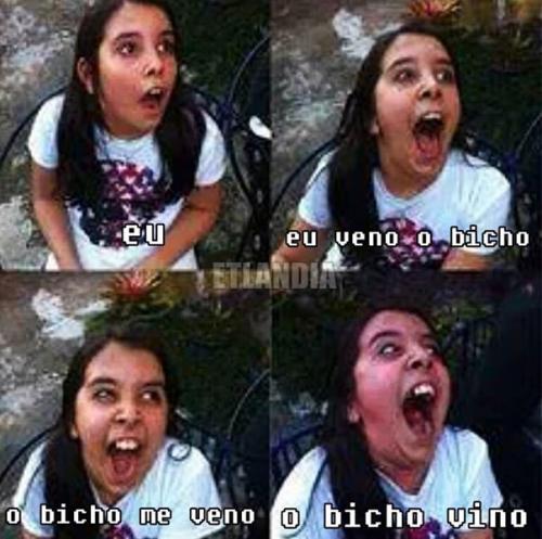 photo 480259525449356