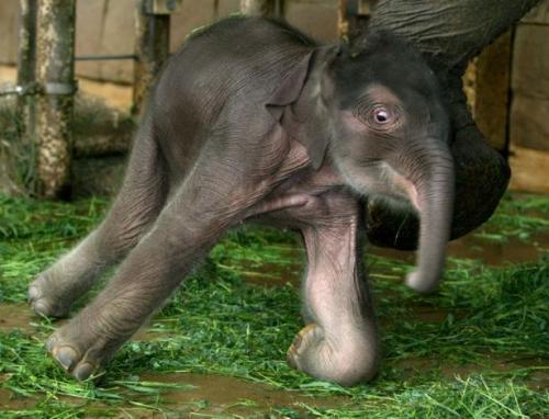 photo 481512848657357