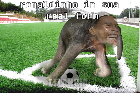 photo 481523121989663