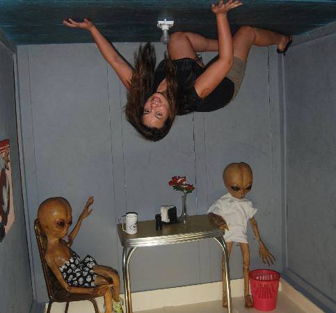 photo 481778915297417