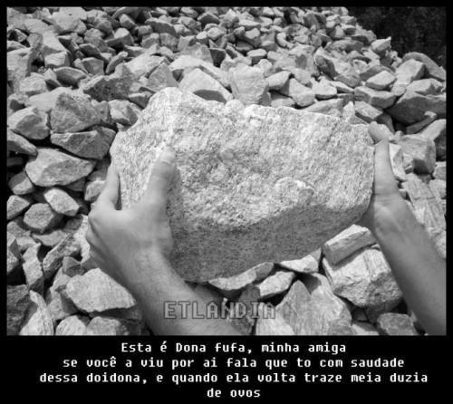 photo 481814458627196