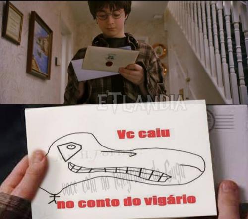 photo 482018325273476