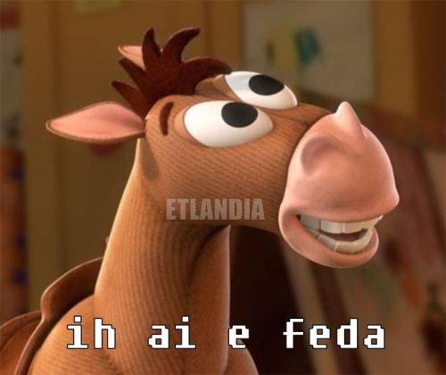 photo 482142655261043