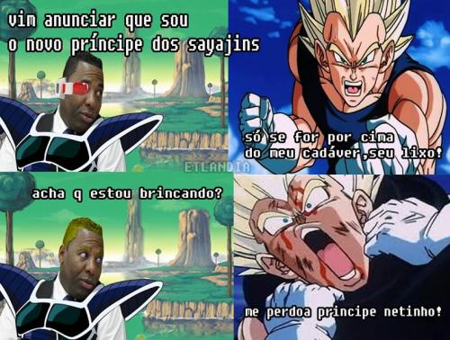 photo 483267175148591