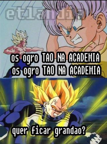 photo 486961181445857