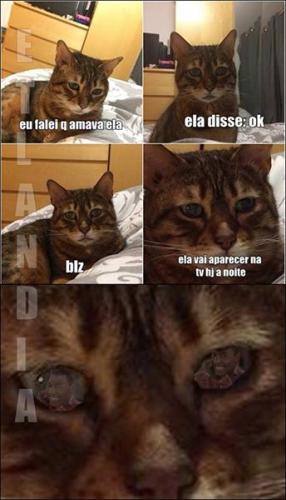 photo 492667467541895