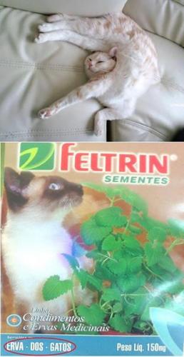 photo 495455217263120