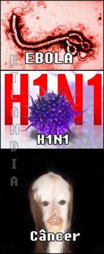 photo 496663640475611