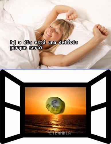 photo 498231706985471