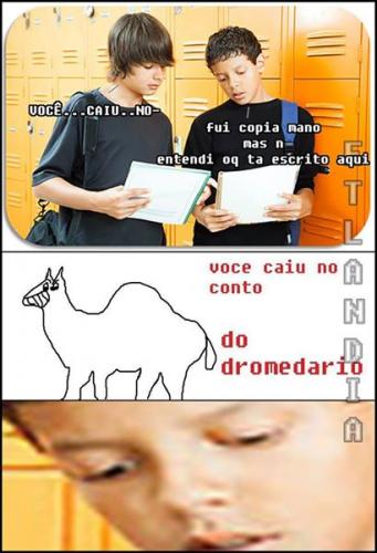 photo 499824016826240