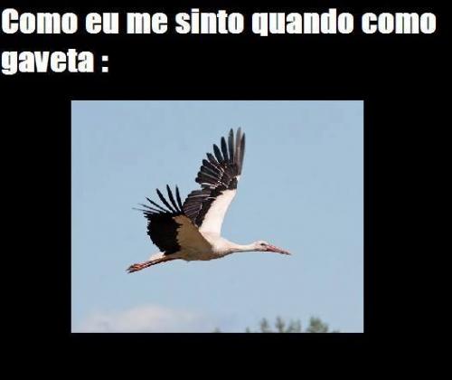 photo 505318442943464