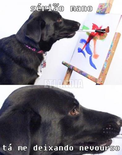 photo 517135848428390