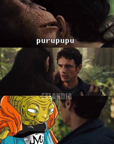 photo 518402001635108