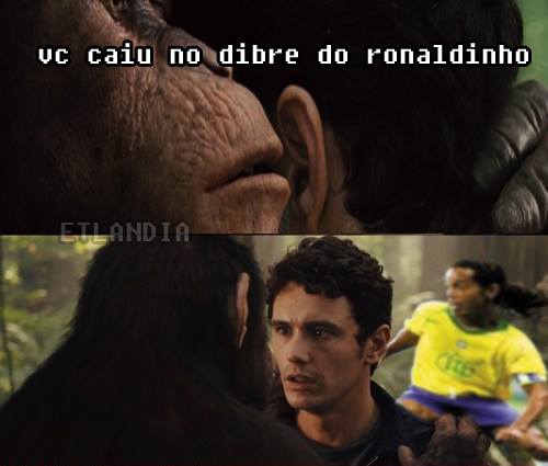 photo 518840211591287