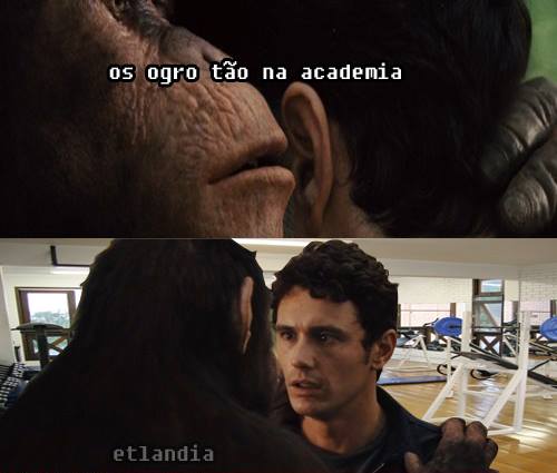 photo 525841864224455