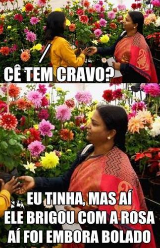 photo 527884887353486