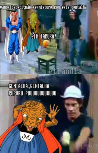 photo 528353787306596