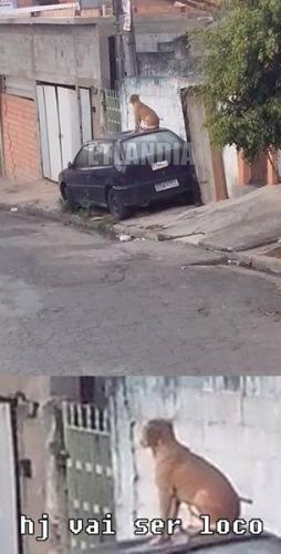 photo 529150367226938