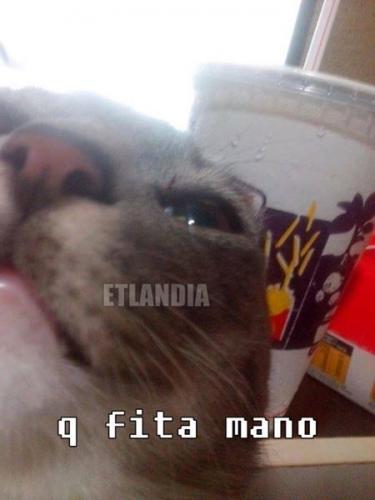 photo 539397779535530