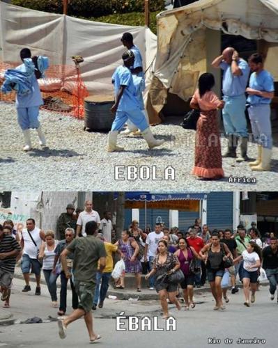 photo 542589759216332