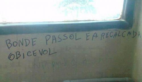 photo 546644738810834