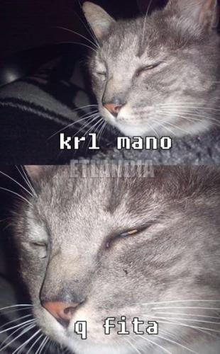 photo 556473917827916