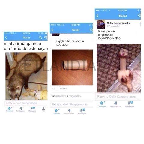 photo 558843700924271