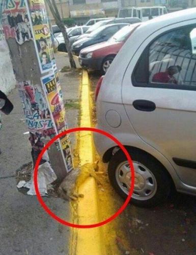 photo 563428823799092