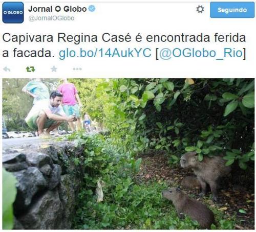 photo 565918313550143