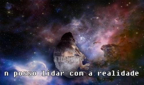 photo 577546102387364