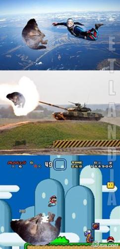 photo 577556739052967