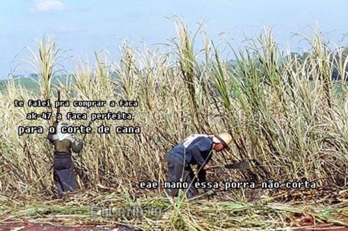 photo 585569954918312