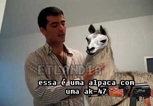 photo 601110816697559