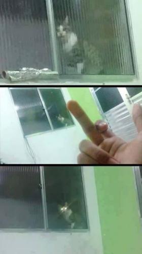 photo 616809795127661