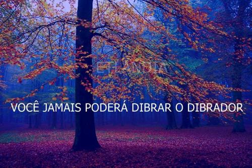 photo 761208660687773