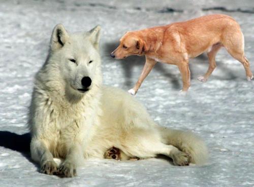 photo 788475994627706