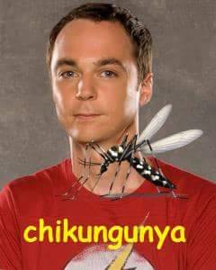 photo 795492787259360