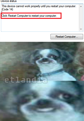 photo 795765530565419