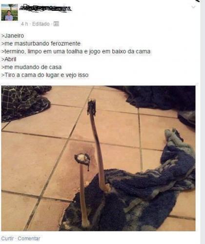 photo 797168017091837