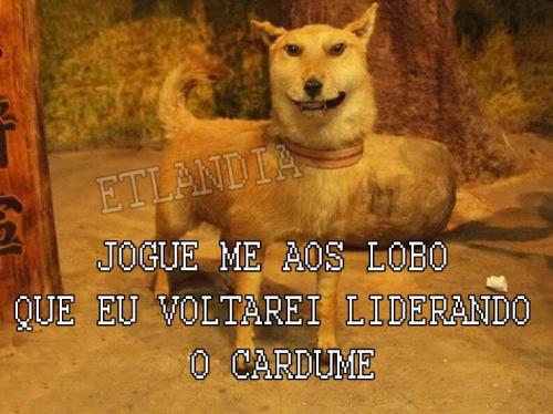 photo 797866730355299