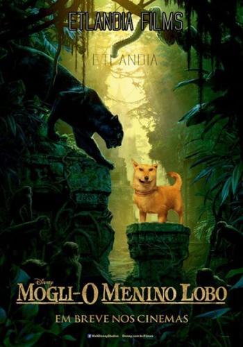 photo 798045623670743