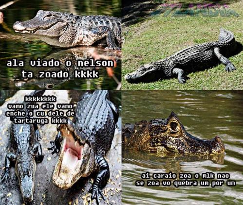 photo 800540456754593